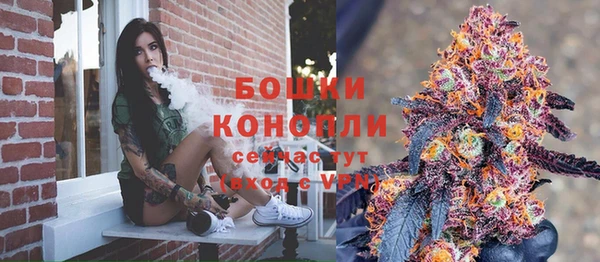 mix Богородицк