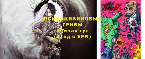 метадон Вяземский