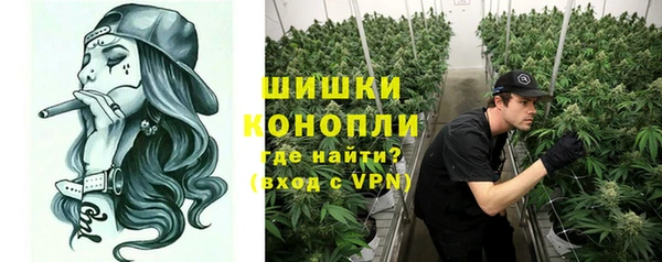 твердый Богданович