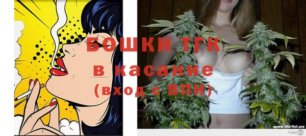 твердый Богданович