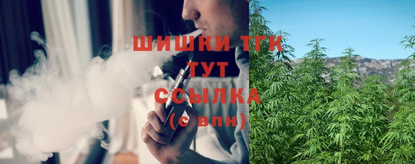 mix Богородицк