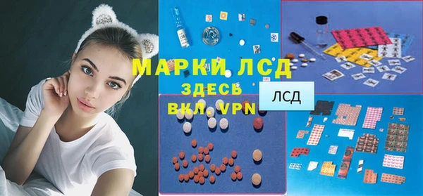 твердый Богданович