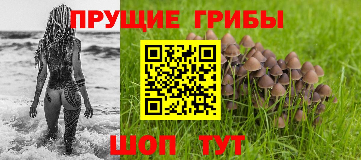 Псилоцибиновые грибы мицелий  Галлюциногенные грибы ЛСД  Вход с VPN  Надым 